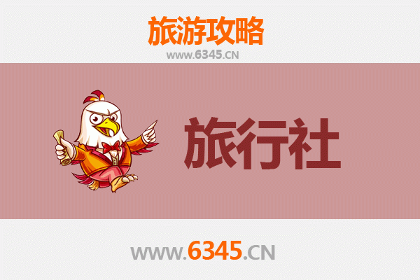 开封本地旅行社推荐及深度游玩攻略
